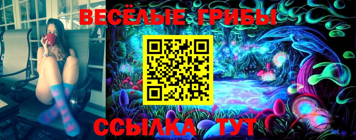 Псилоцибиновые грибы Psilocybine cubensis Хабаровск